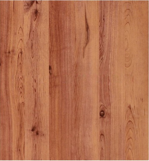 san-go-robina-c21-500x539