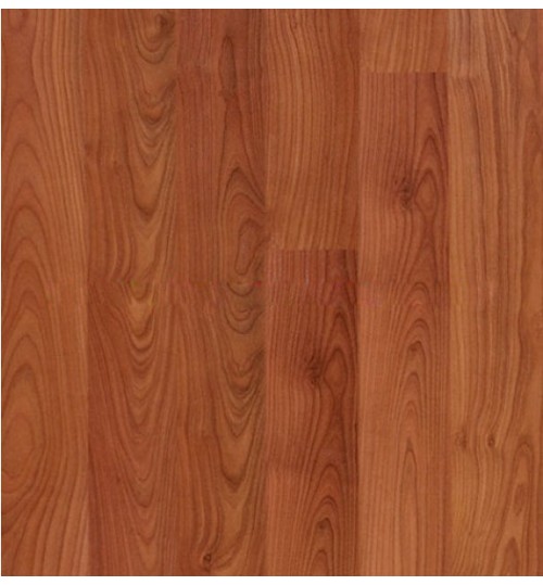 san-go-robina-c25-500x539