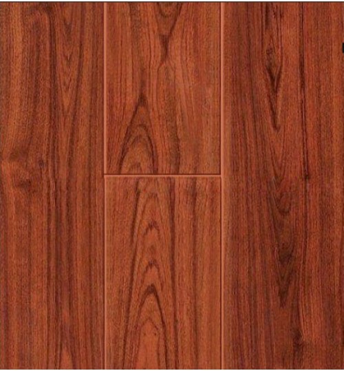 san-go-robina-t11-500x539