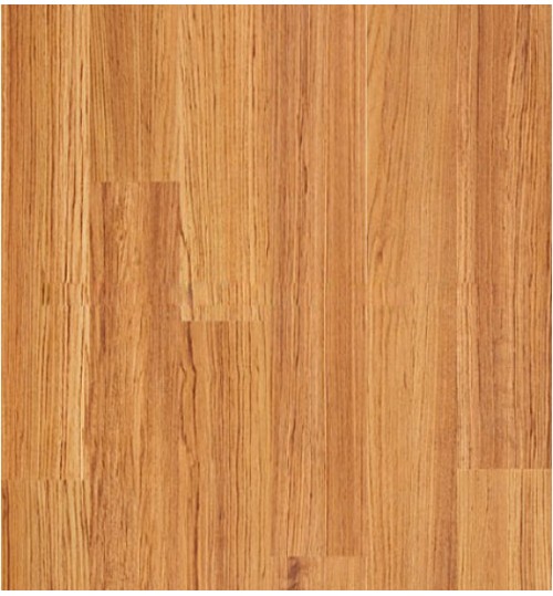 san-go-robina-t22-500x539