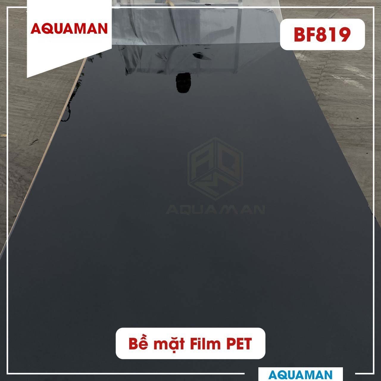 bề mặt film PET BF819